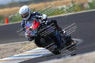 media/Jul-12-2025-Pacific Track Time (Sat) [[beecba6d8c]]/Group C/Turn 9 (240pm)/